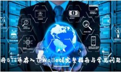 如何将BTT币存入TPWallet？完整指南与常见问题解答