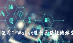 如何使用TPWallet进行区块链地址查询？