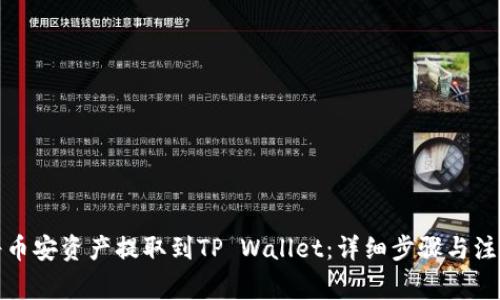 如何将币安资产提取到TP Wallet：详细步骤与注意事项