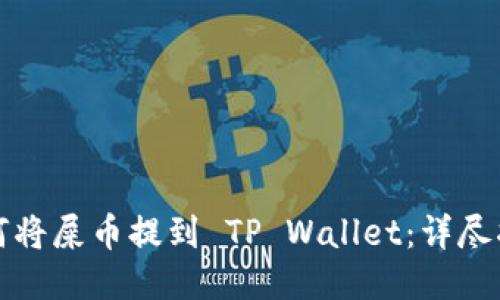 如何将屎币提到 TP Wallet：详尽指南