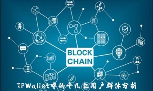 
TPWallet中的十几亿用户群体分析