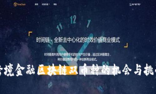 跨境金融区块链双币种的机会与挑战